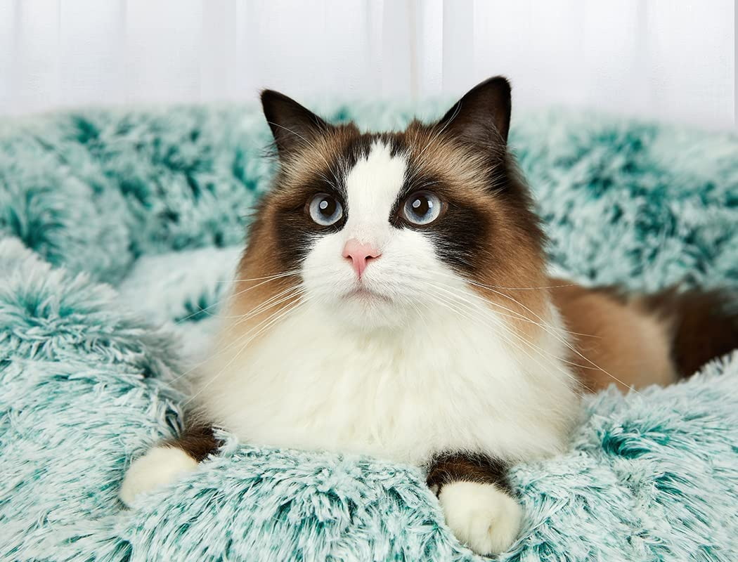 Pawz Replacement Pet Bed Cover Zipper Dog Mattress Plush Warm Washable Teal 110Cm image number 4