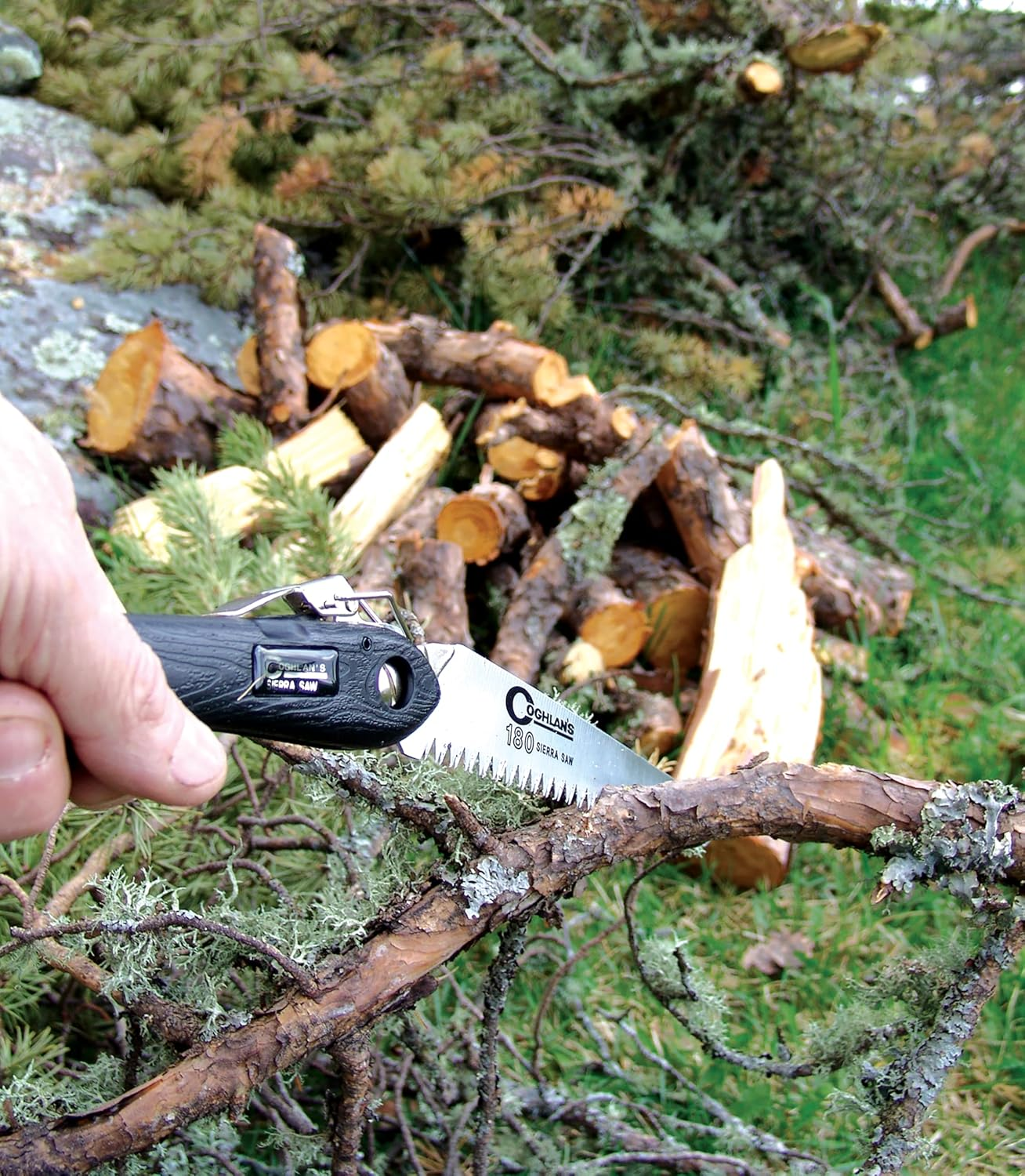 Coghlan'S Sierra Saw