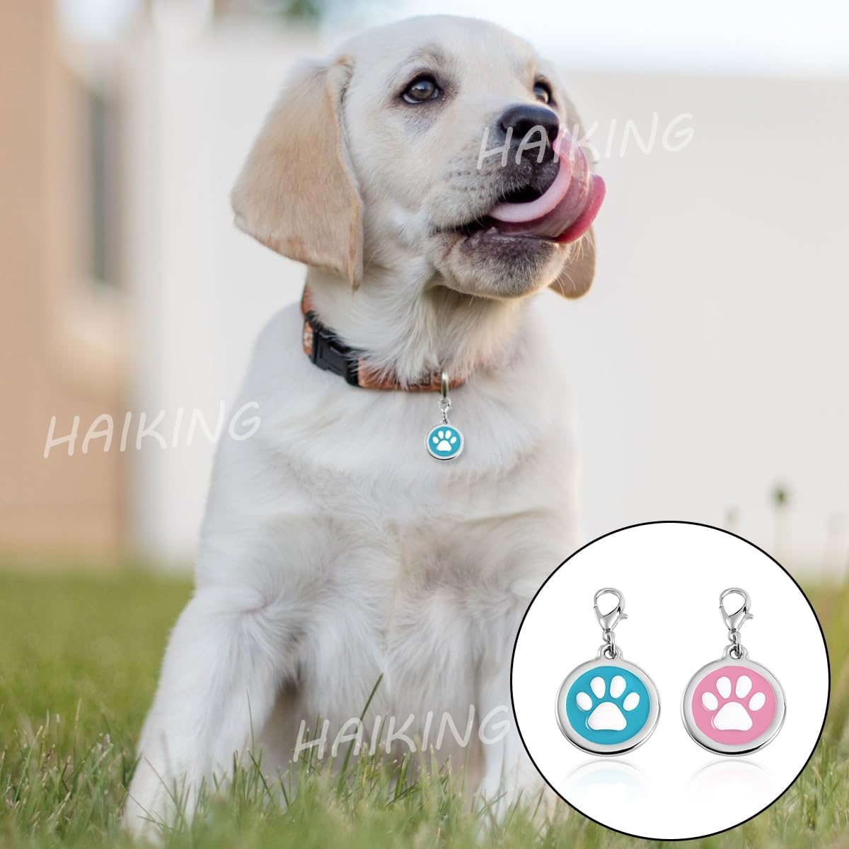 HAIKING Pet Tags, 2 Pcs Dog Personalized Name Tags for Dogs, Cats, Pets (Pink, Blue.Personalized Customization Is Not Provided and Needs to Be Customized by Oneself.) image number 4