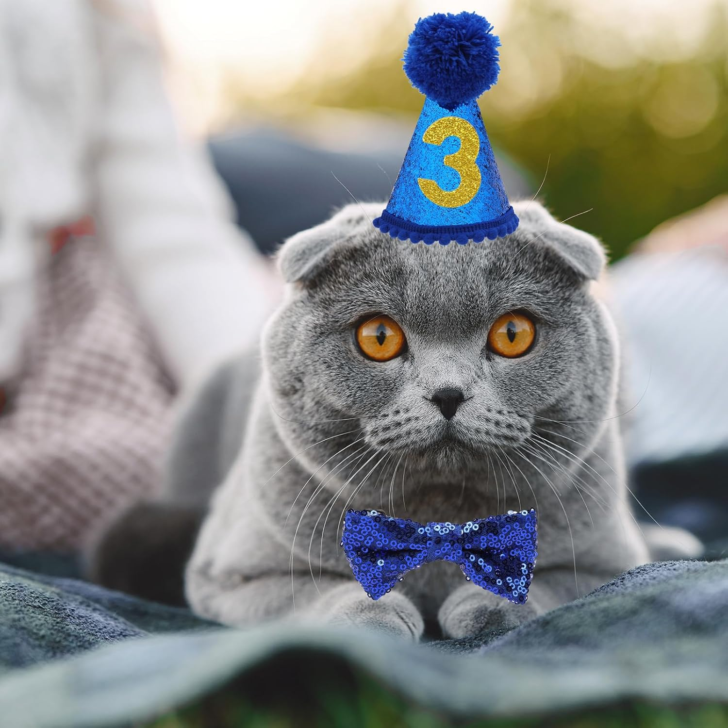 Cat Birthday Party Supplies Breakaway Plaid Cat Birthday Boy Bandana Collar with Bow Tie Cat Kitten Birthday Hat Birthday Number Cat Birthday Outfits Decorations for Cat Kitten image number 2