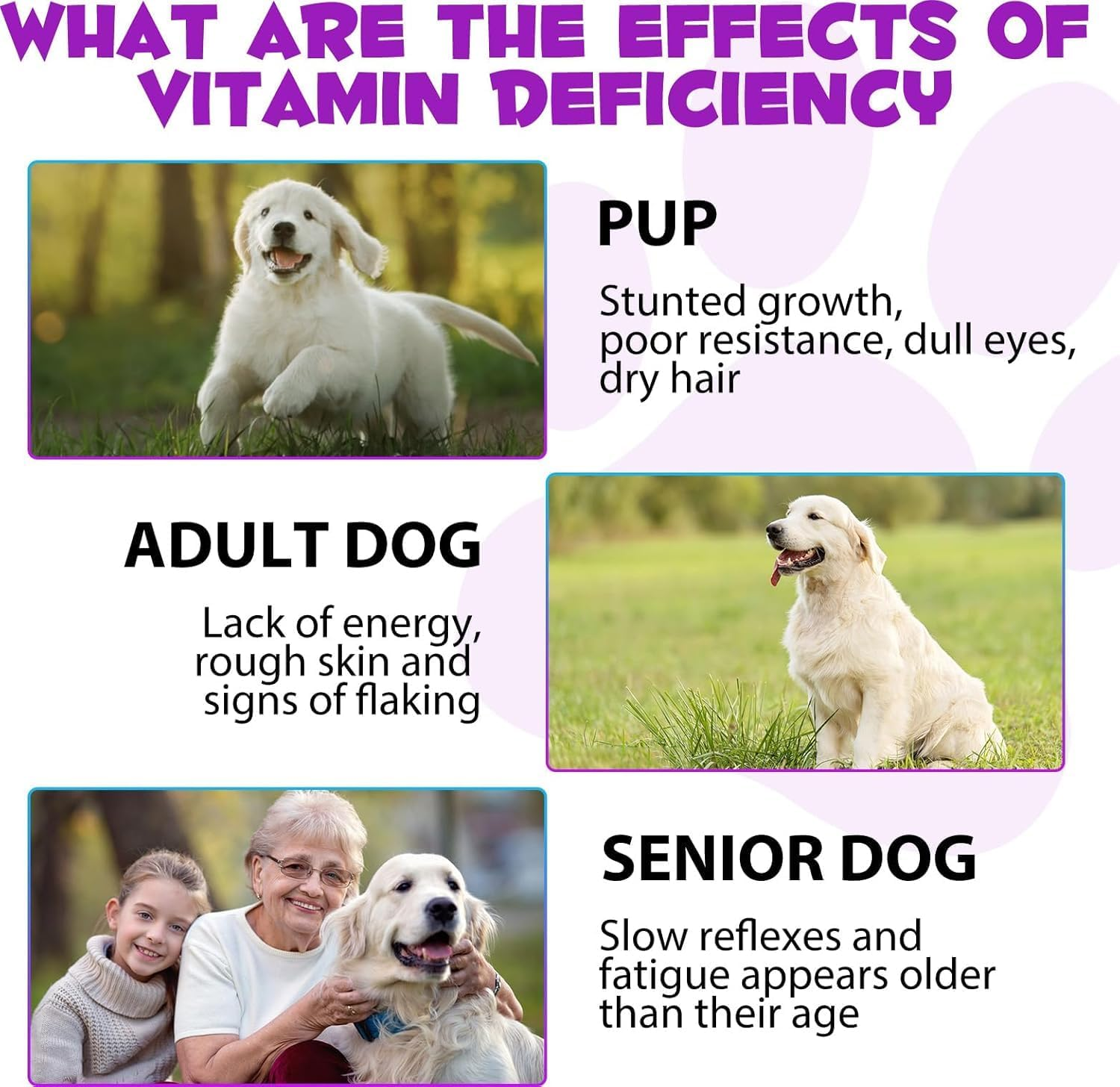 Dogs Natural Multivitamin - 15 in 1 Nutrition Vitamin Drops ● Supports Heart, Bones, Hip, Joint, Skin, Coat, Bladder, Digestive, Immune System ● Supplement with Bacon Flavor ● 60Ml image number 4
