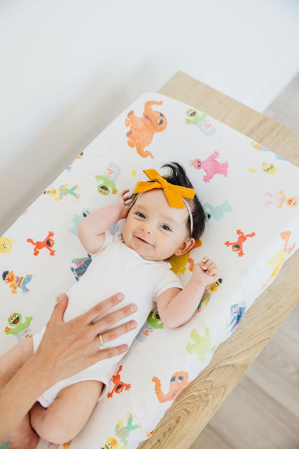 Premium Knit Diaper Changing Pad Cover"Sesame Friends" by Copper Pearl - Sesame Friends image number 5