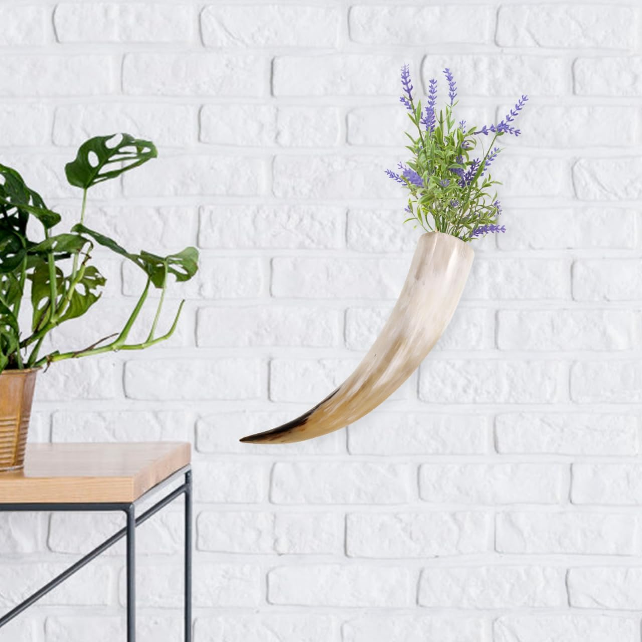 Luxshiny Cow Horns Wall Decor Vintage Ox Horn Vase Vintage Decorative Vase Style Ornament for Home Decor Craft, 30 X 7 X 5.5Cm image number 5