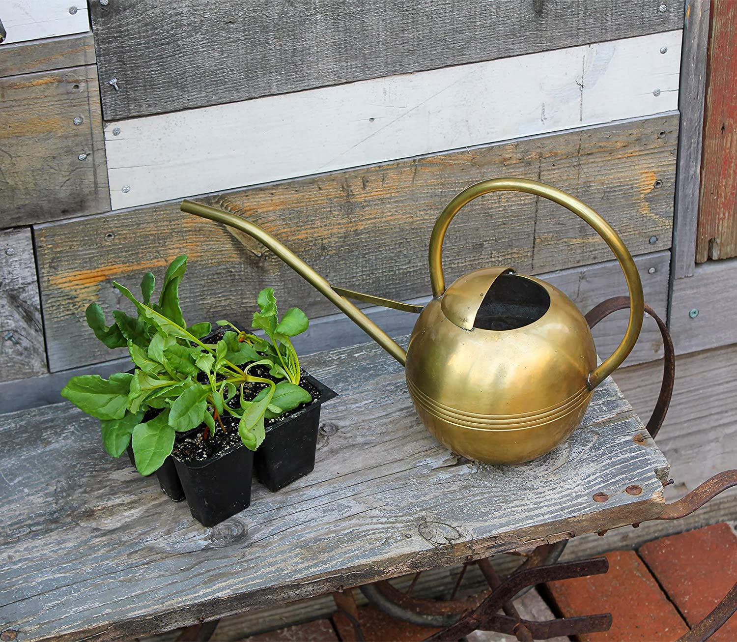 Achla Designs WC-01 Brass Metal Small Watering Can Houseplants image number 4