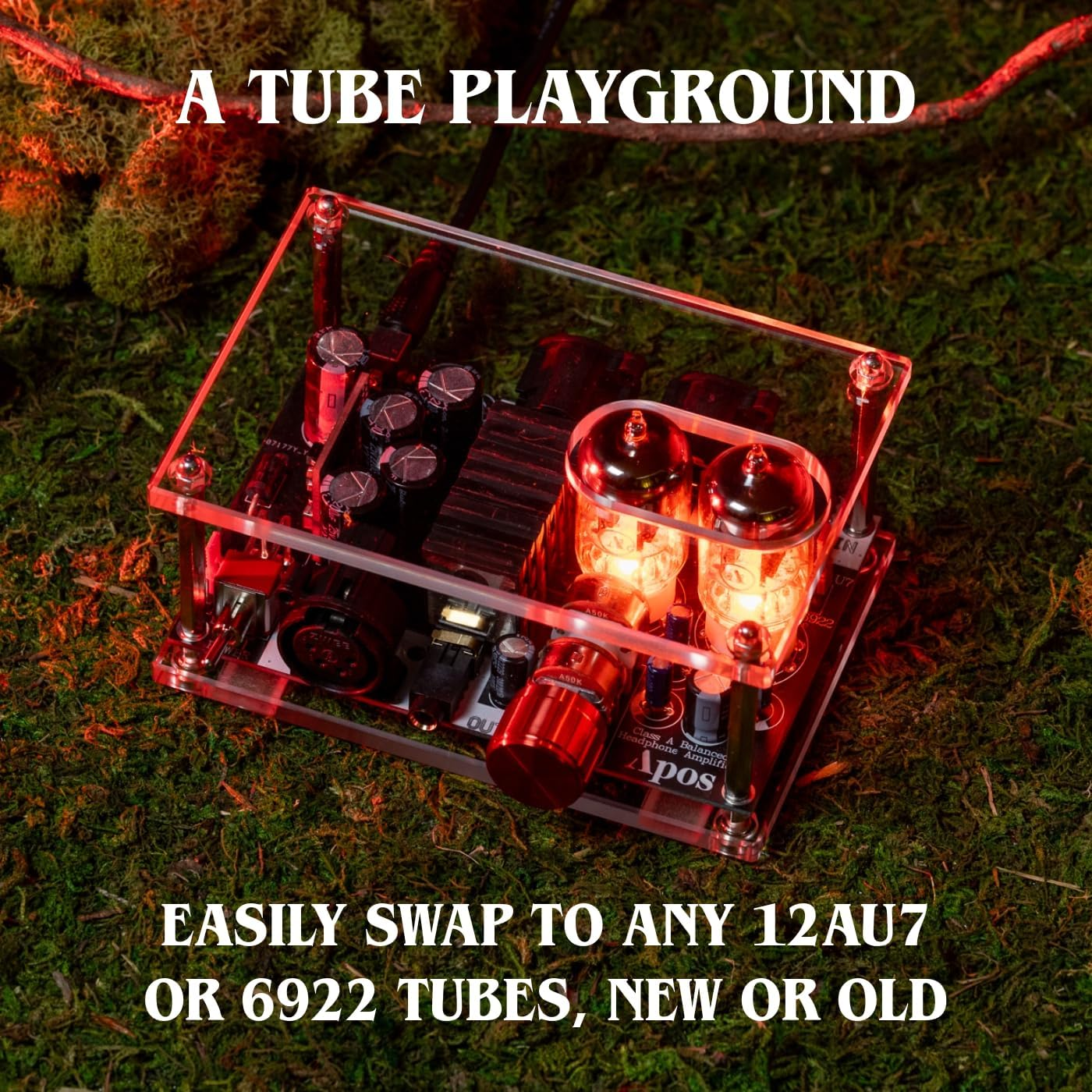 Gremlin Headphone Tube Amplifier - Apos X Community/Class a Balanced for Hifi Desktop Audio/Swappable Tubes 12Au7, 6922 / XLR, 4.4Mm Balanced, 1250 Mw Power/Diy Audio/Loved by Audiophiles image number 6