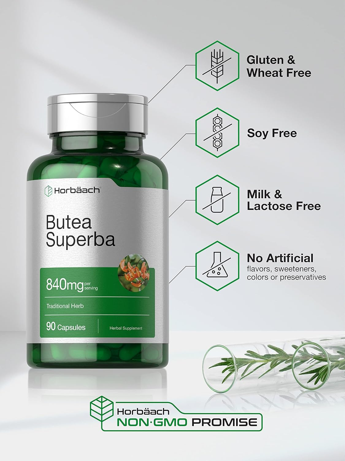 Butea Superba Root 840Mg | 90 Capsules | Male Performance Supplement | Non GMO, Gluten Free Supplement | by Horbaach image number 4