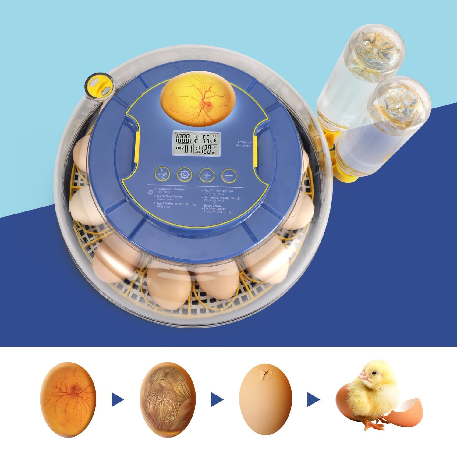 18Egg Automatic Egg Turner Incubator with Temp Control & 360&deg; Clear View Window, for Quail, Duck, Goose, Parrot Eggs, Precision Hatching & Easy Monitoring image number 2