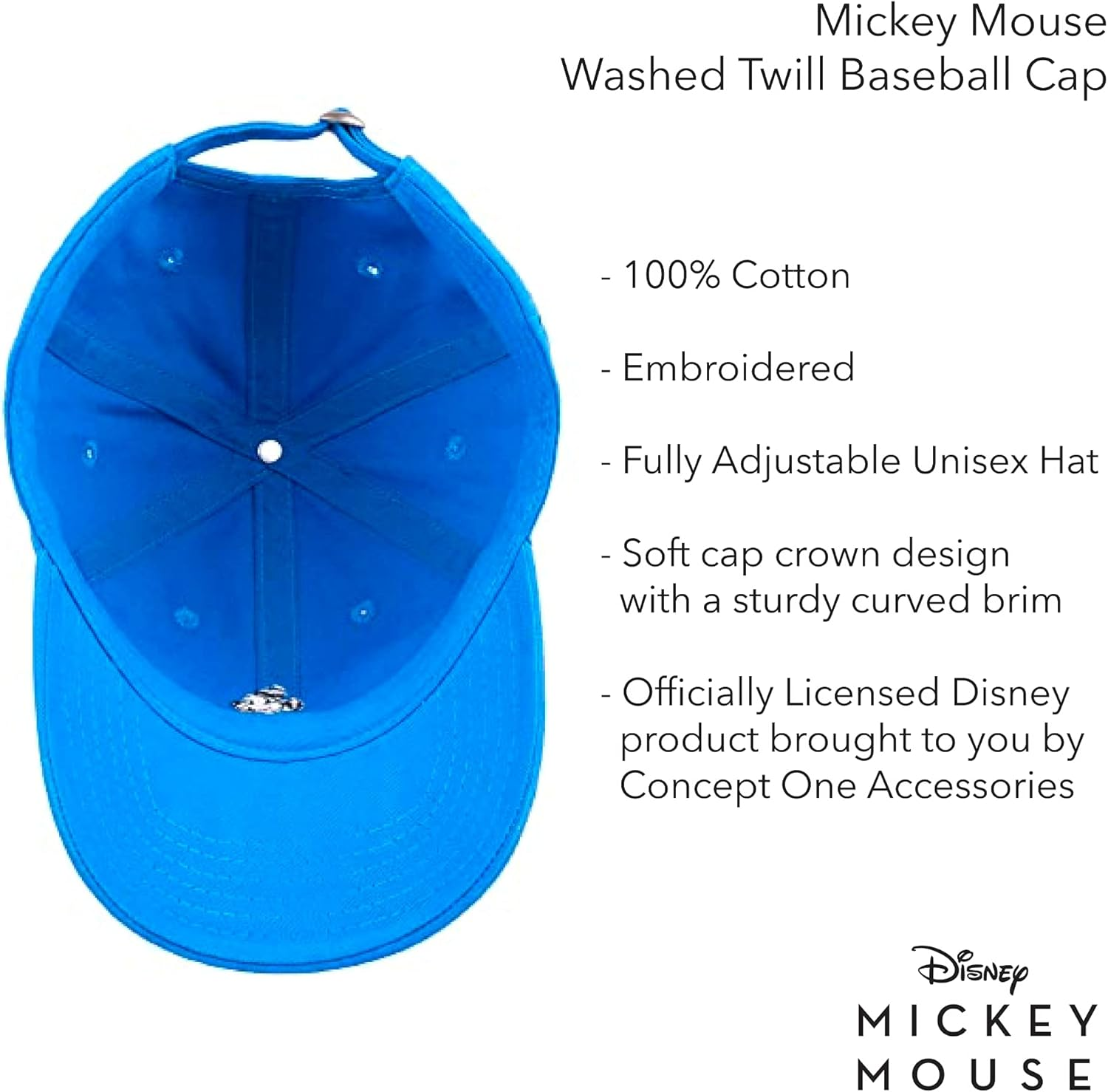 Disney Dad Hat