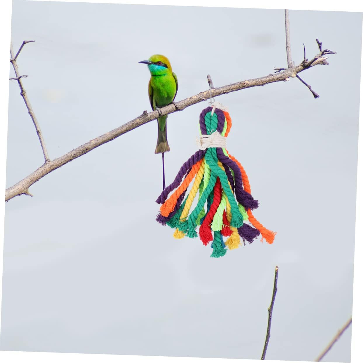 Angoily Bird Vent Toy Parrot Chewing Toy Cotton Rope String Parrot Toy Bird Gnawing Toy Random Color