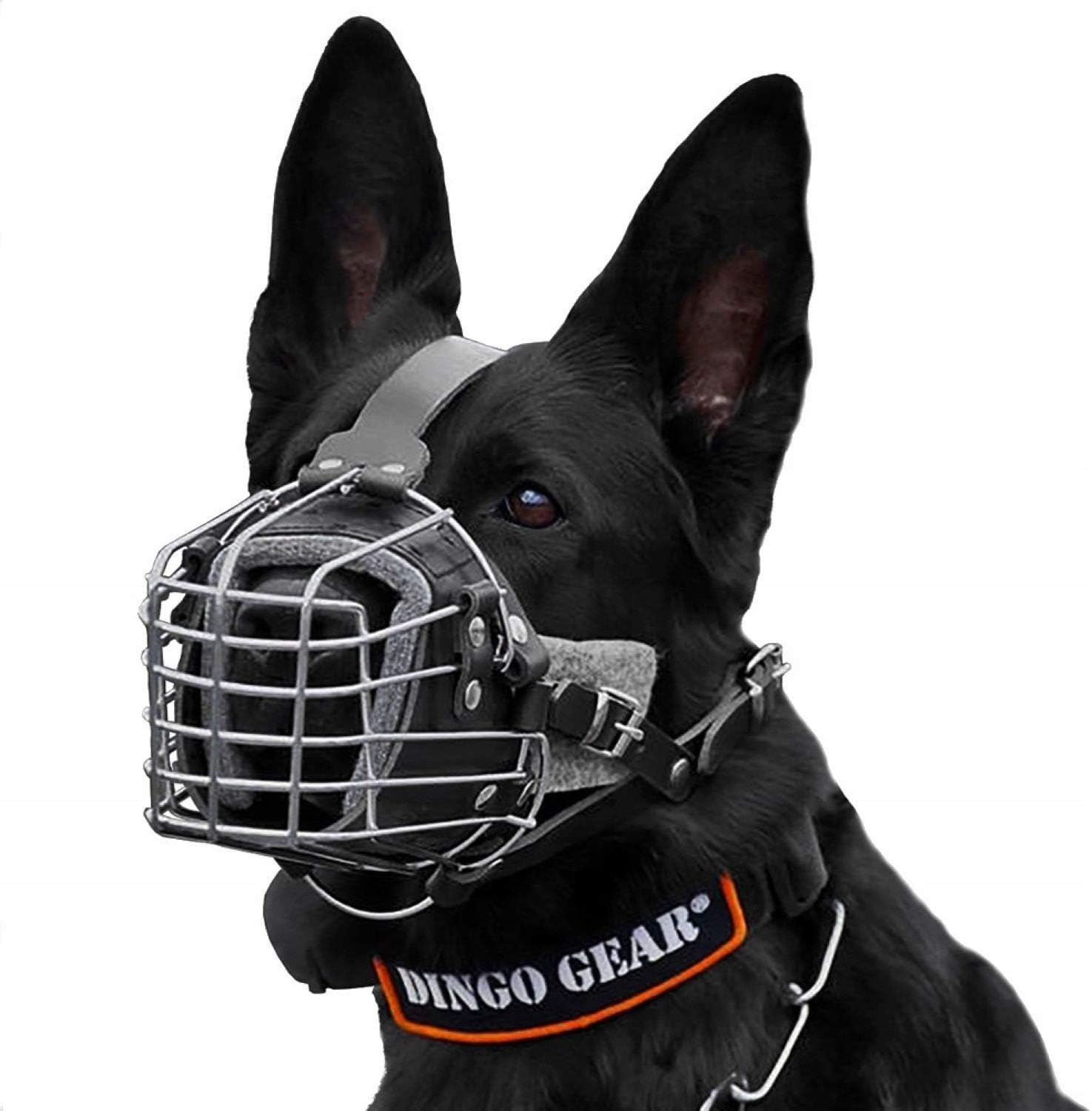 Dingo Gear Dog Training Muzzle Military K9 Agitation Metal Muzzle for Working Dogs S03004 image number 4