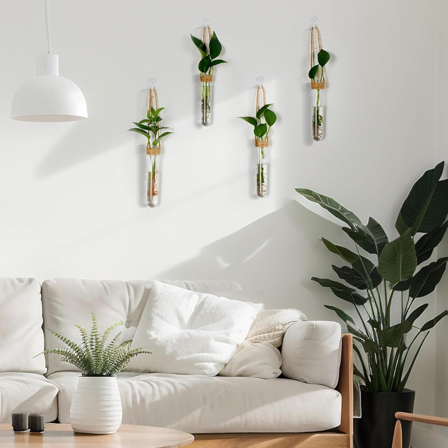 12-Pack Glass Hanging Vases,Flower Decor,Wall Planters for Plant Propagation Station,Wall Mounted Vase Cultivation,Ideal for Hydroponics in Home,Office,Or Garden,Great Gift image number 4