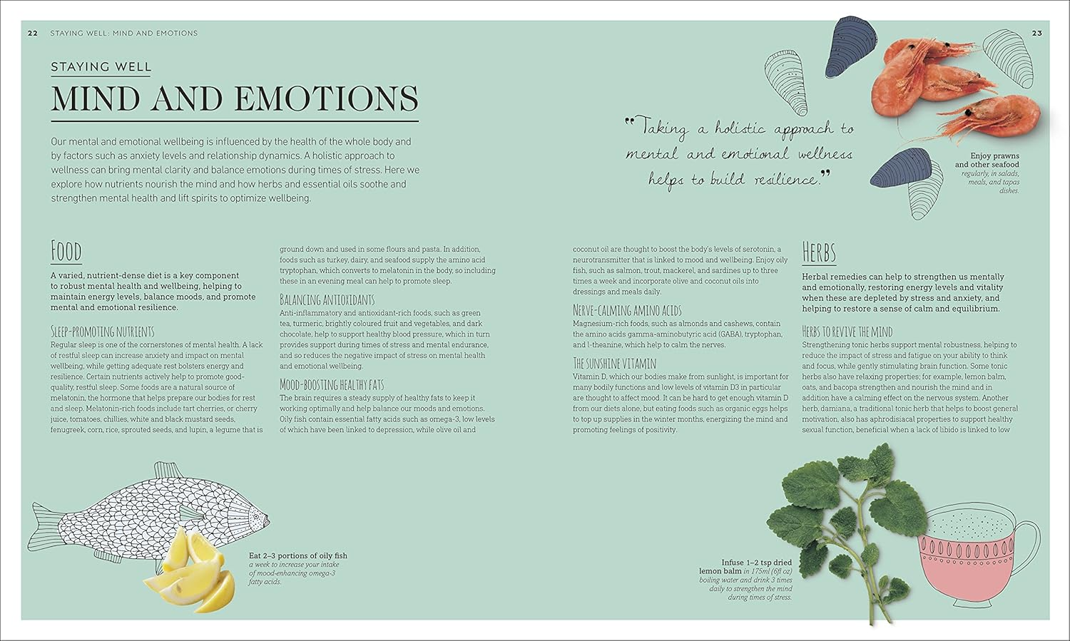 Neal'S Yard Remedies Complete Wellness: Enjoy Long-Lasting Health and Wellbeing with over 800 Natural Remedies