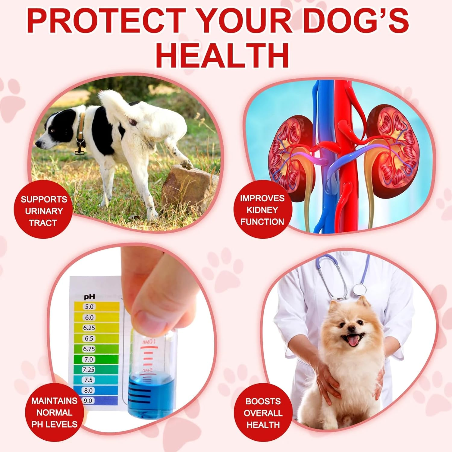 Urinary Tract Support for Dogs | Cranberry & Apple Cider Vinegar Formula | Helps Maintain Bladder Health & Urinary Flow | Chewable Tablets for All Breeds & Ages | Chicken Flavour | 180 Count image number 3