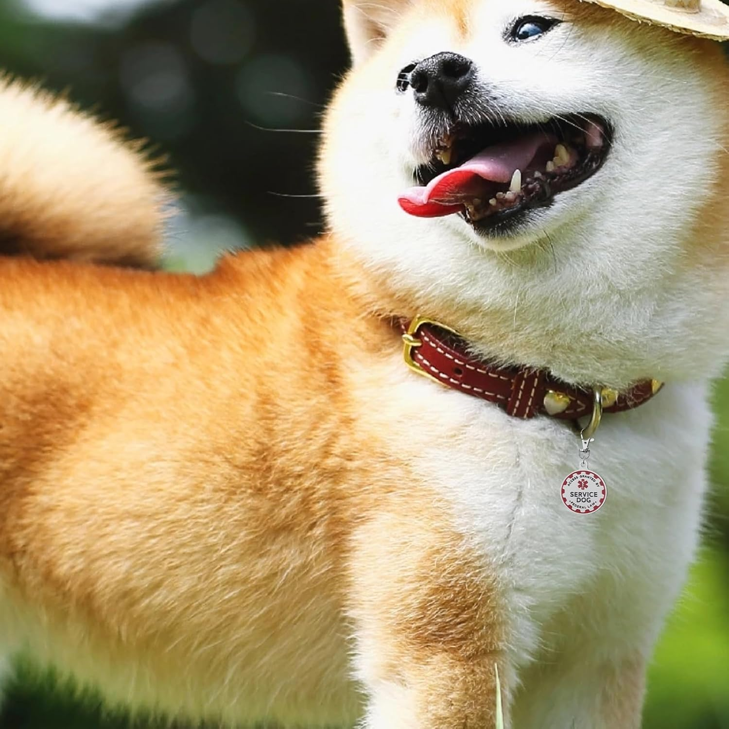 Service Dog TAG Industrial Puppy for Service Animals, Emotional Support Dogs & Therapy Dogs Entirely Surgical Stainless Steel Easily Attach to Collar, Harness-Two-Sided (Service Dog TAG)