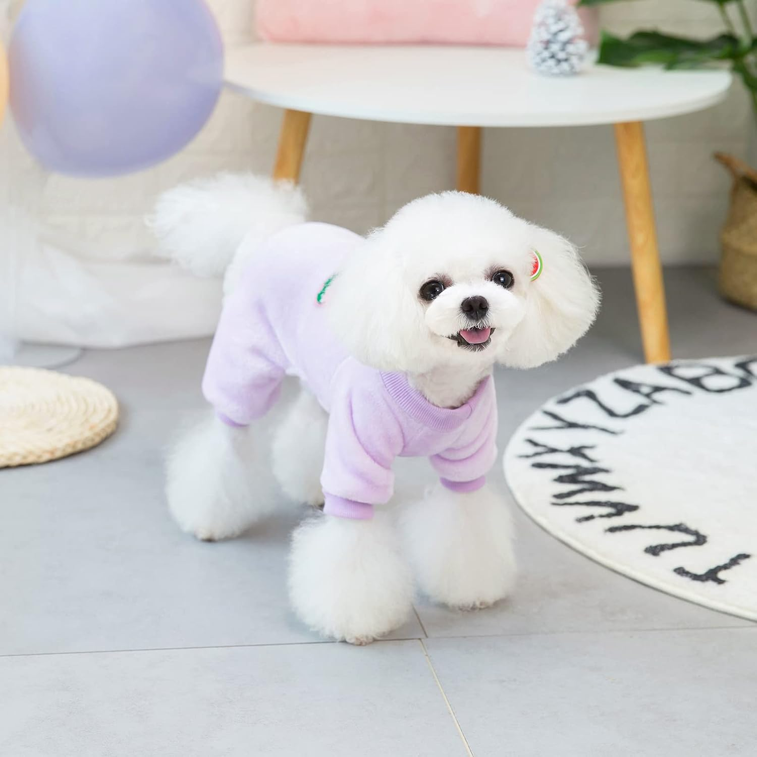 Izefia Dog Sweater Dog Clothes Fleece Dog Woolen Sweater Winter Warm Sweat Shirt 4 Legs Jumpsuit Pajamas Fruit Simple Sweater for Small Dog Medium Dog Cat Purple XXL
