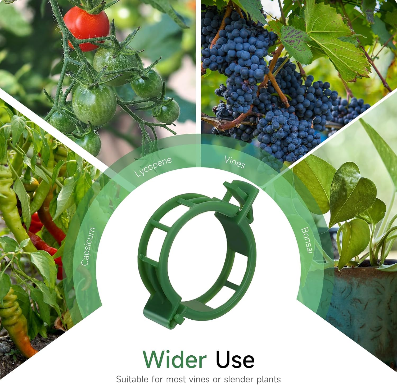 LMXMGRG Tomato Clips for Support 100Pcs,Plant Vine Clips for Climbing Plants,Small Plant Clips for Outdoor 2024 Upgrade image number 4