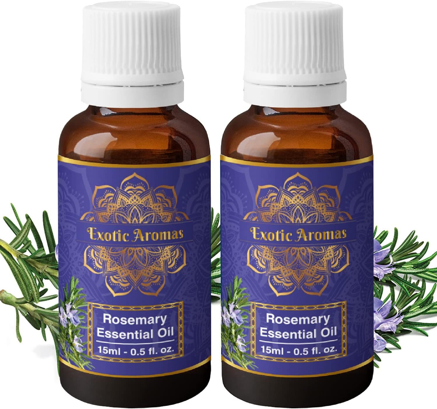 Precious Aromas Rosemary Oil for Hair Growth,Skin,Aromatherapy 100% Pure & Natural (Pack of 2) image number 4