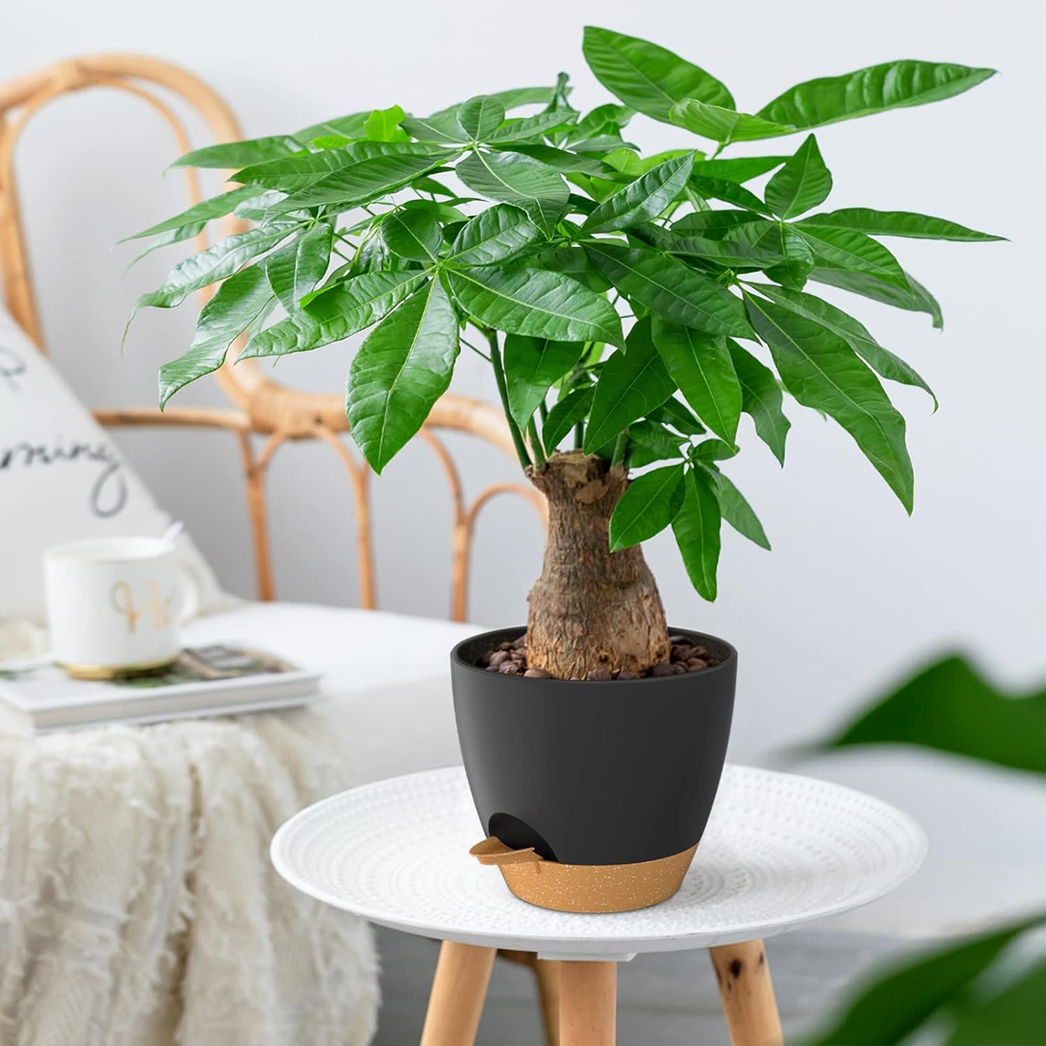 ZMTECH 20 Cm Plant Pots with Drainage Holes Saucer Self Watering Planters with Watering Inlet Plastic Flower Pot for Indoor Outdoor Plants (Set of 2, Black) image number 4