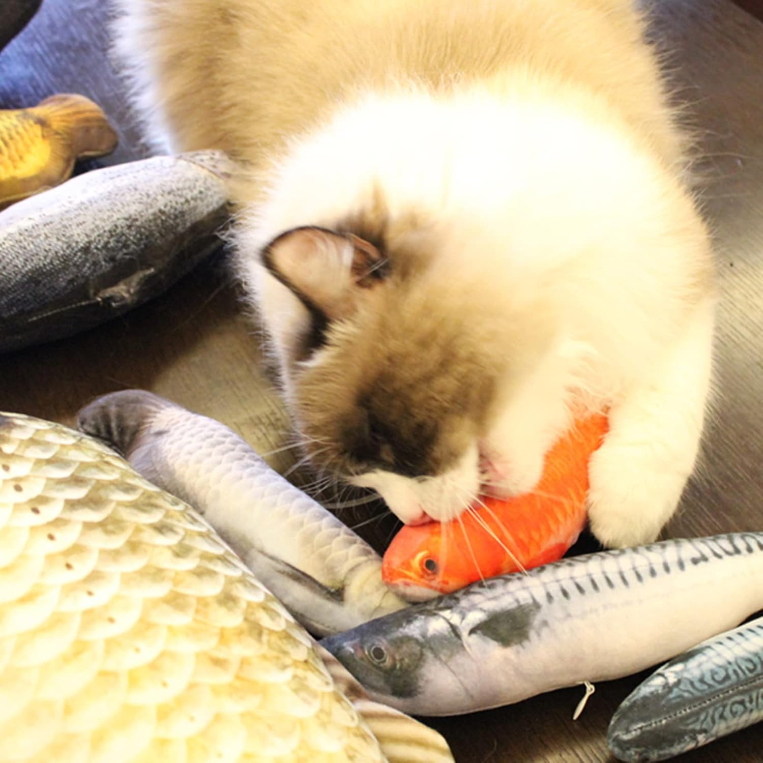 REFENG Realistic Plush Simulation Doll Fish, Funny Interactive Pets Chew Bite Supplies for Cat/Kitty/Kitten Fish Flop Cat Toy Catnip Toys image number 6