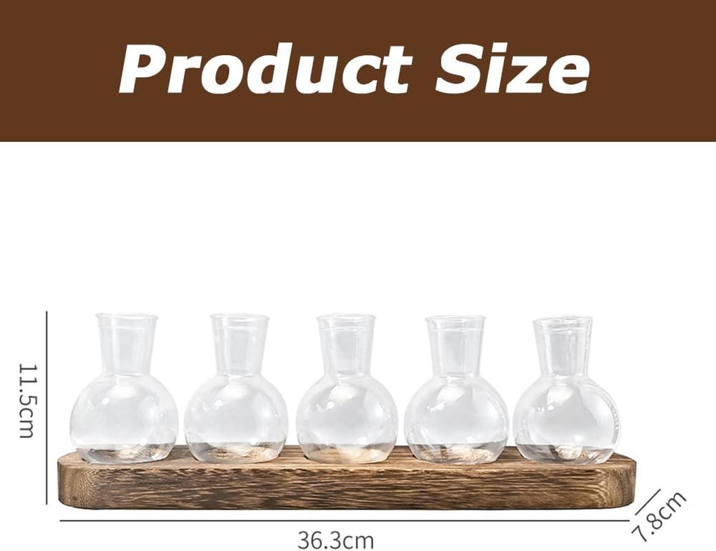 5-Piece Mini Acrylic Vase, Modern Bud Jardiniere Collection, Decorative Tabletop Bottle, with Wooden Holder for Flowers, Centerpieces & Home D&eacute;cor image number 1