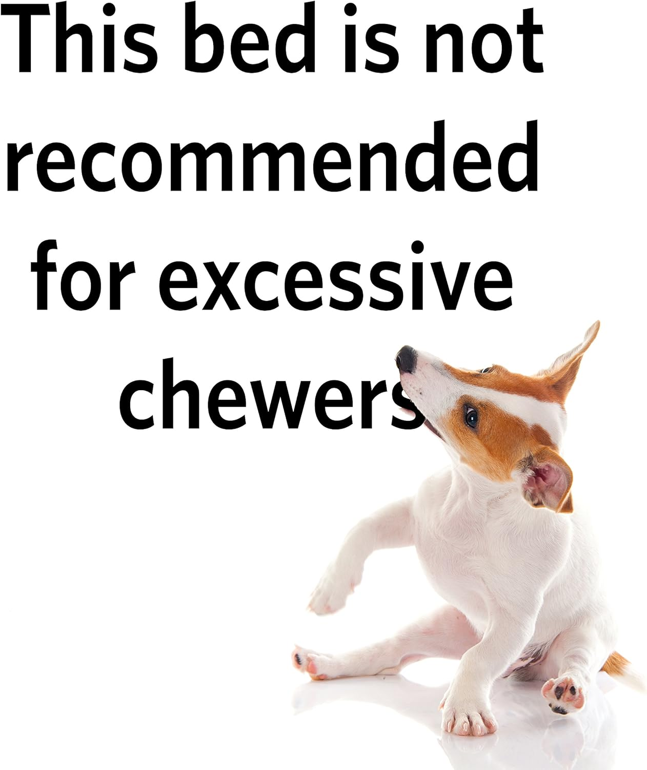 Midwest Homes for Pets Maxx Dog Bed for Metal Dog Crates, 30-Inch, Camouflage image number 5