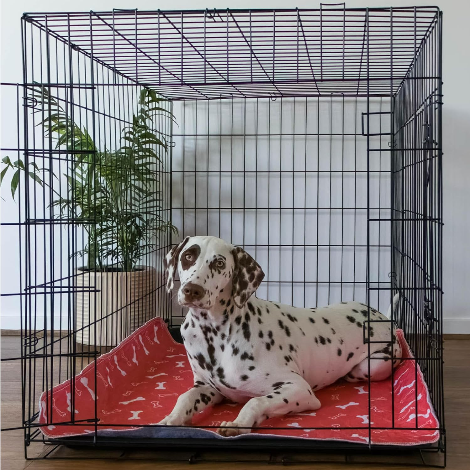 Orange Reusable Puppy Pads - Accident Proof - Ultra Absorbent - Washable Dog Pee Pads - Multi-Purpose Protection - Waterproof Dog Mats for Floors (Medium (70 X 80Cm)) image number 4