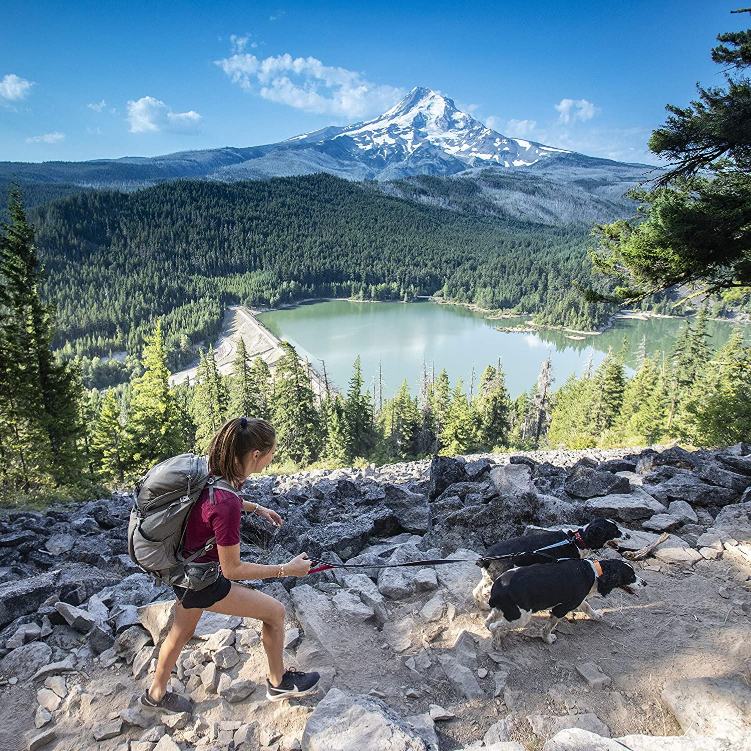 Kurgo Double Dog Leash | Two Dog Lead | Dual Leashes for Dogs | Leash Coupler | Adjustable | Reflective | Tangle-Free | Double Dog Leash Extender image number 4