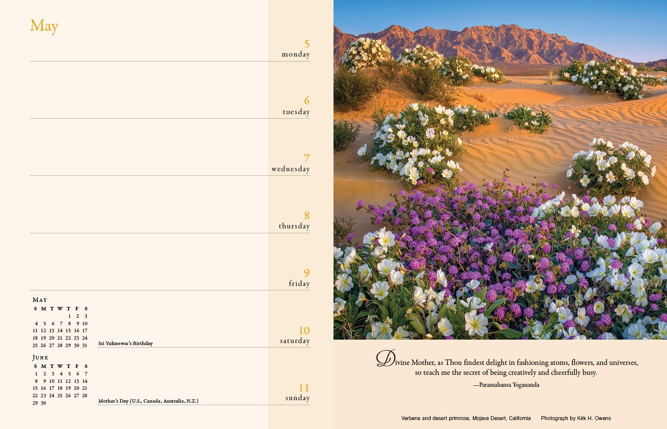 2025 Inner Reflections Engagement Calendar image number 1