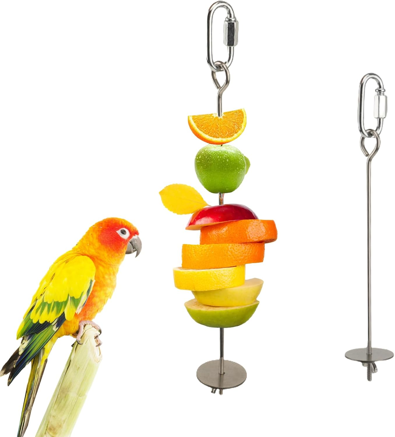 Cockatiel, Budgie, Budgie, Budgie Accessories, Bird Cage Accessories, Cockatiel Accessories