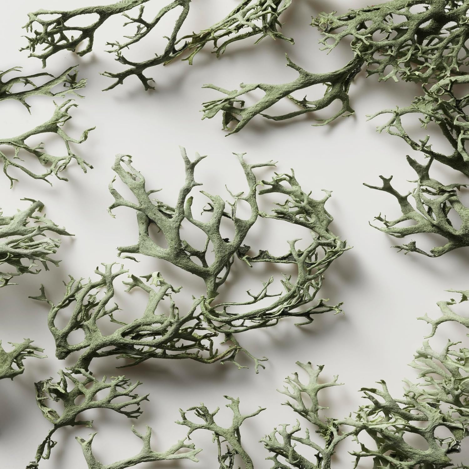 Ralph Lauren Polo Big Pony 1 Eau De Toilette Spray for Men 90 Ml image number 4