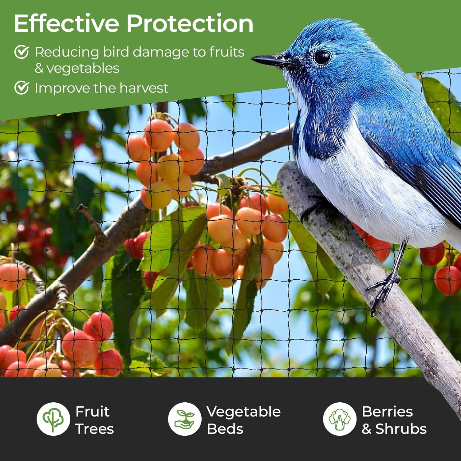 10 M X 10 M Bird Protection Net, Bird Net, Black, Tear-Resistant Plant Net for Chicken Enclosures, Aviary Net for Protects Fruit Trees and Vegetables from Bird Eating (Mesh Size 2.5 X 2.5 image number 2