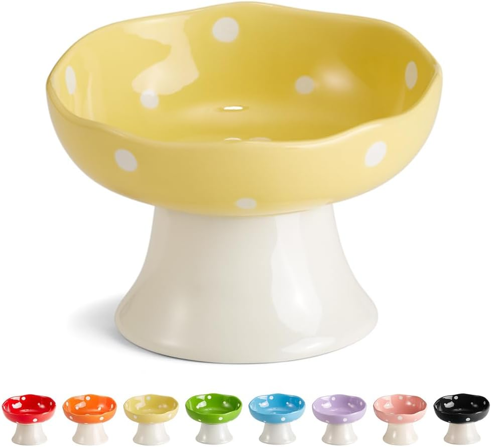 Ceramic Elevated Cat Bowls, Tilted Raised Pet Dish anti Vomit Kitten Bowl for Indoor Cats, Whisker Friendly Pet Food and Water Bowl for Kitten, Cat, Puppies, Dishwasher Safe (Red)