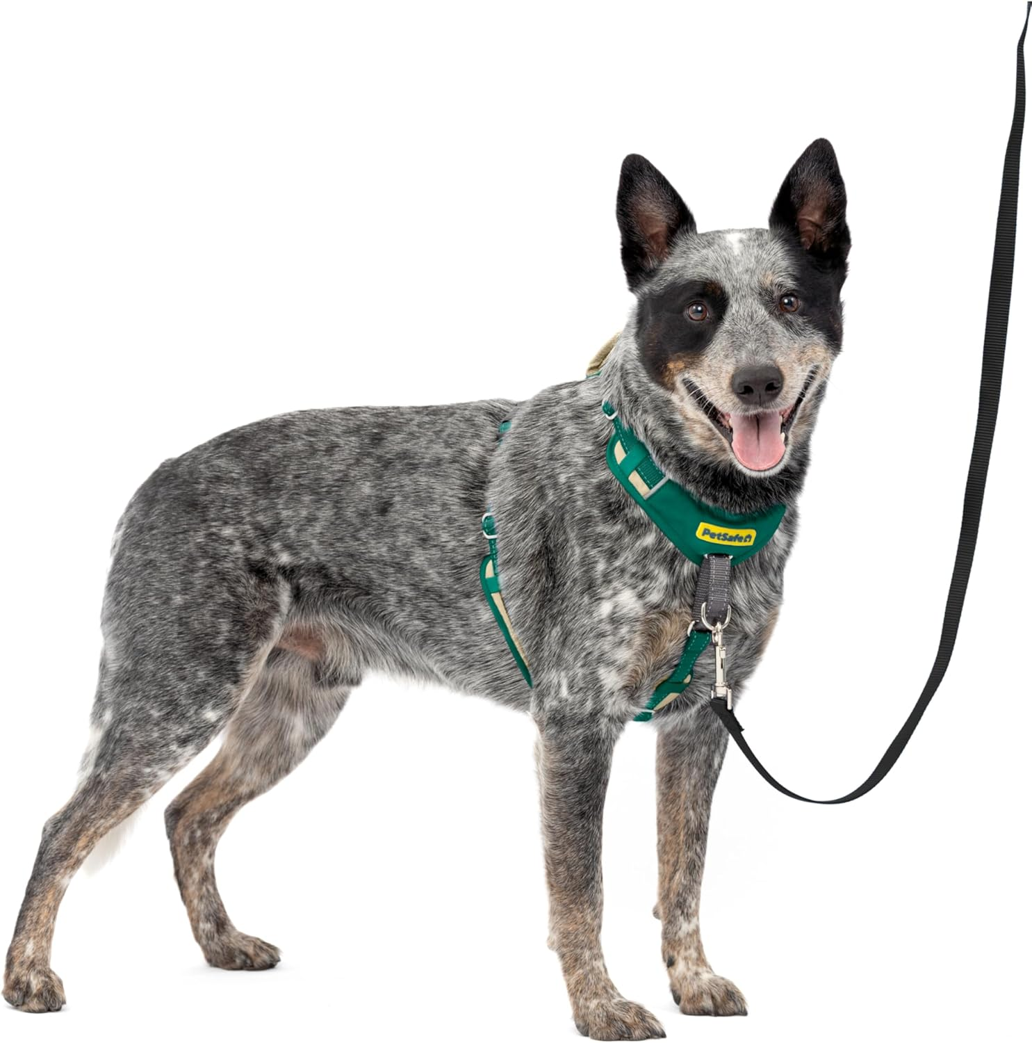 Petsafe Easy Walk Comfort No-Pull Dog Harness Full-Body Padding - Better Walks on the First Use - 5 Points of Adjustment Medium/Large, Green