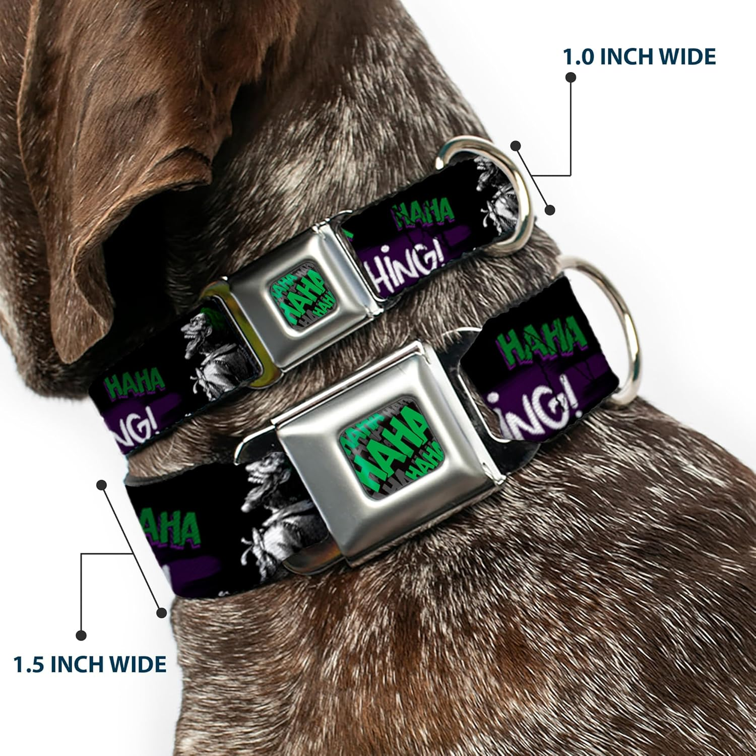 Dog Collar Seatbelt Buckle Joker Die Laughing Haha Black Purple Green 15 to 26 Inches 1.0 Inch Wide image number 3
