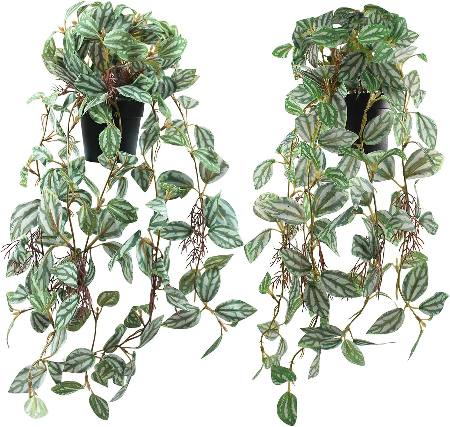 2 Pcs Artificial Hanging Plants Realistic Watermelon Texture with Flower Buds Fake Potting Leaves Faux Peperomia Vine Green Plants for Indoor Outdoor Home Garden Decor