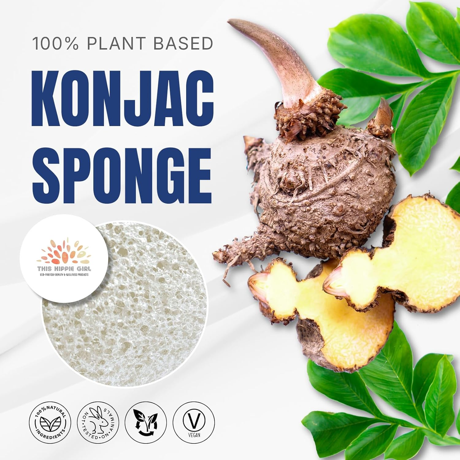 Roote Ritual Konjac Body Sponge &ndash; 100% Natural Exfoliating Shower Sponge for Sensitive Skin &ndash; Gently Deep Cleanses & Softens, Earth-Friendly, Biodegradable, Vegan &ndash; for Women, Men (Natural White) - Natural White image number 3