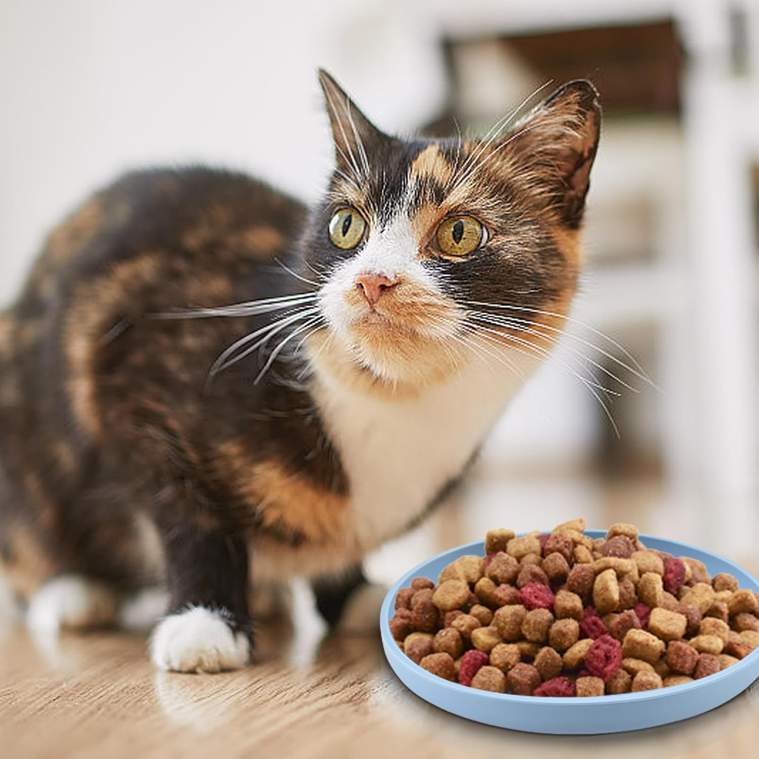 Pack of 3 Cat Bowls, Cat Feeding Bowls, Tricolour Cat Bowls, 18 Cm Silicone Bowl, Wide Cat Bowl, for Dry Food and Wet Food (Blue, Green, Yellow) image number 2