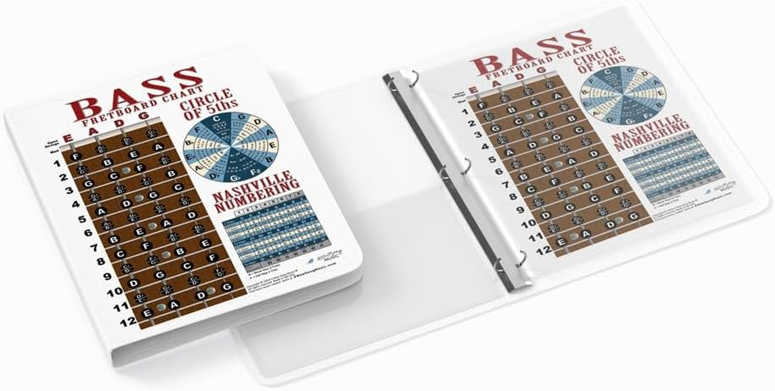 A New Song Music Laminated 4 String Bass Fretboard Notes Chart Nashville Number System & Circle of 5Ths Easy Instructional Poster for Beginner for Notebook 2024-8.5" X 11" image number 6