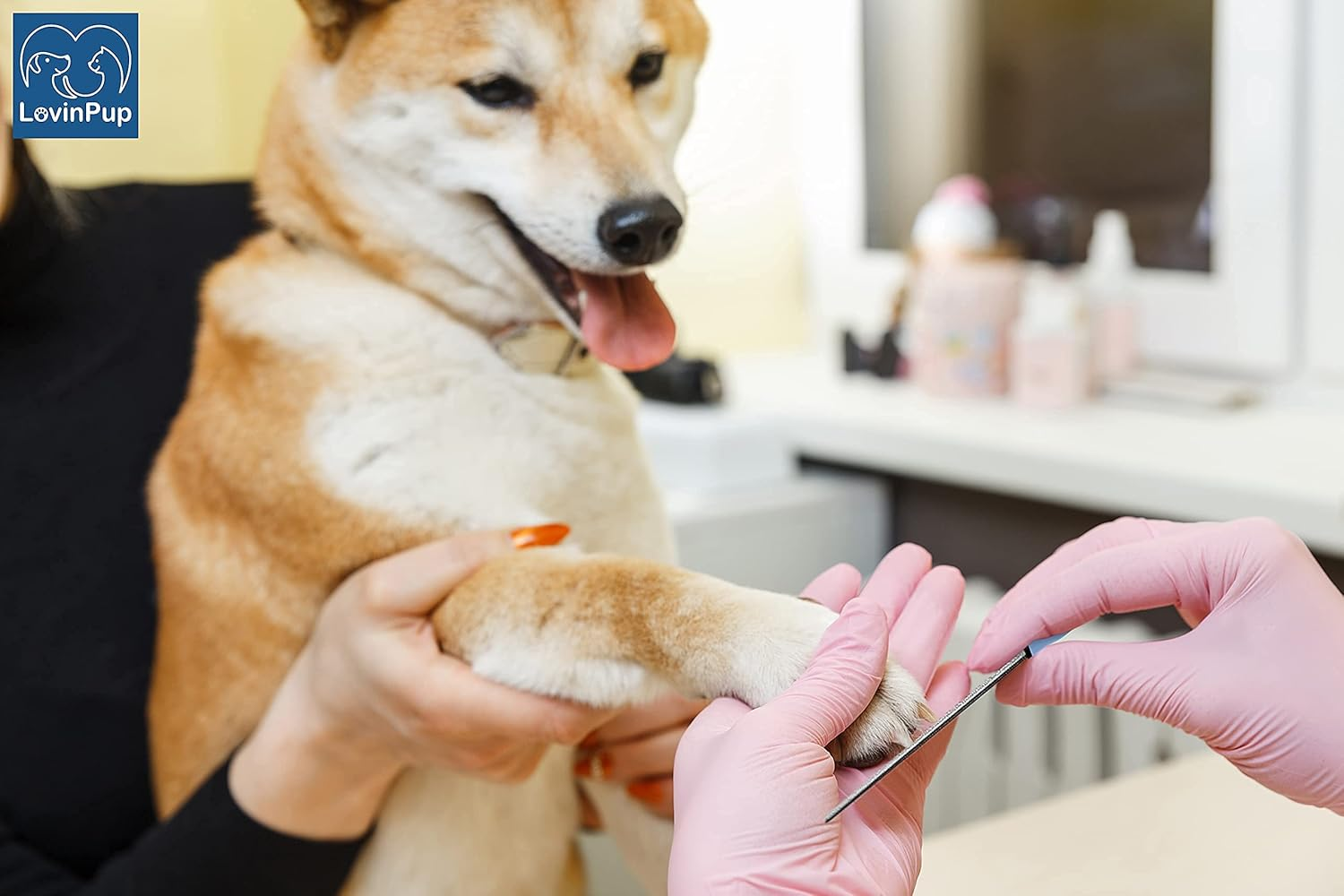 LOVINPUP Dog Nail Filer, Professional Nail Grooming Tool, Dog and Cat Nail Files, for Smoothing Rough Edges of Pet&rsquo;S Nails, Best Nail Filer for Small/Large Dogs & Cats (1 Dog Nail Filer) image number 3