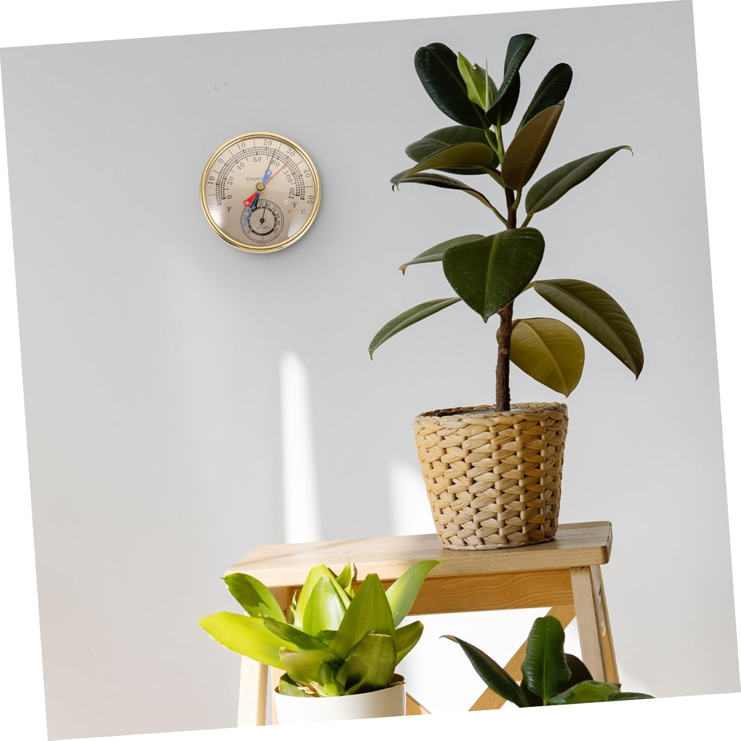 Abaodam Indoor Outdoor Thermometer Hygrometer with Humidity and Temperature Sensor Gauge for Greenhouses and Hotbeds Glass and Plastic Wall-Mount Weather Monitor for Workshop