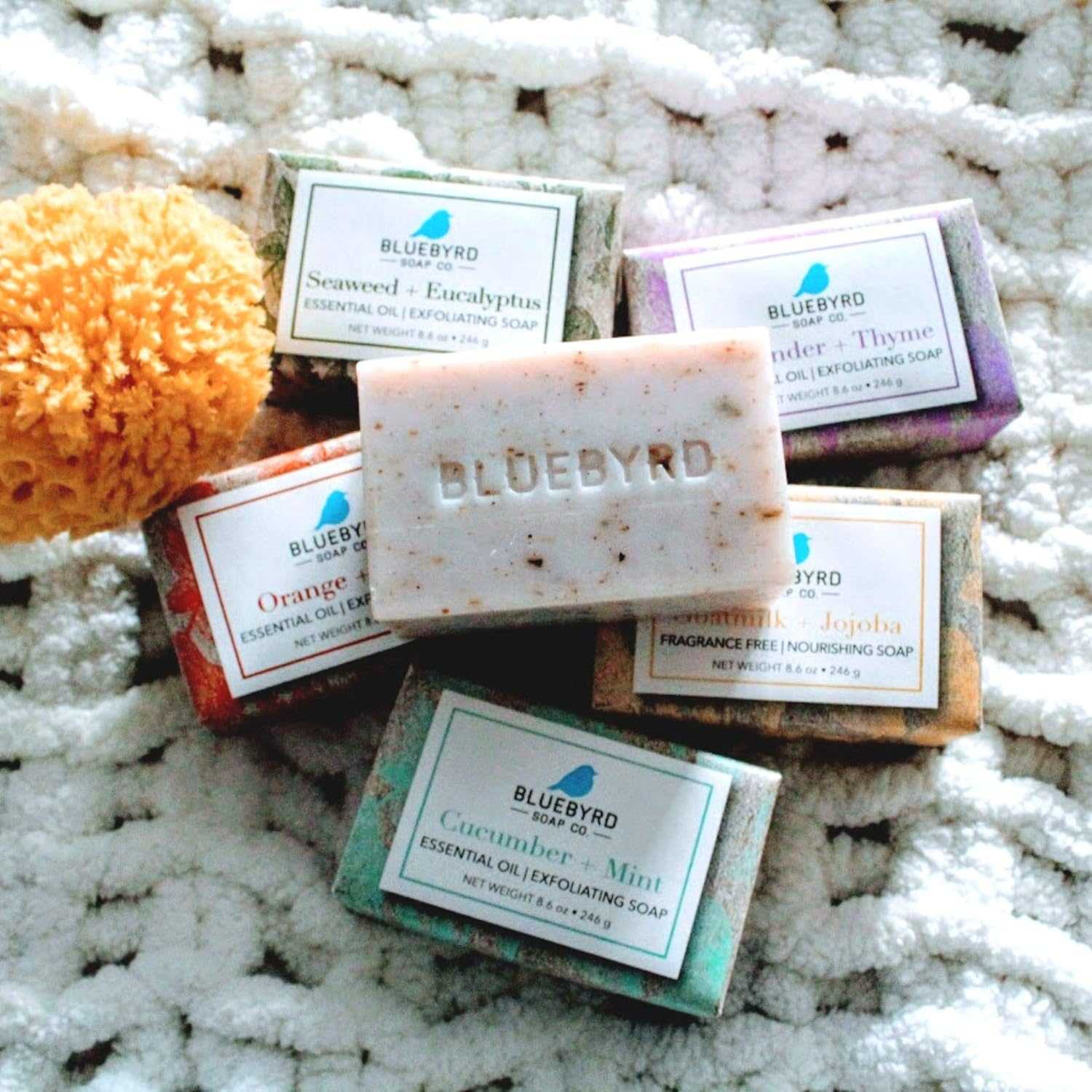 BLUEBYRD 5-Pack Essential Oil Exfoliating Soap Bars Boxed Variety Set, Scented Natural Bar Soap Gift Set, Cucumber Mint/Fragrance Free Goat Milk Jojoba/Lavender Thyme/Orange Clove/Seaweed Eucalyptus image number 4