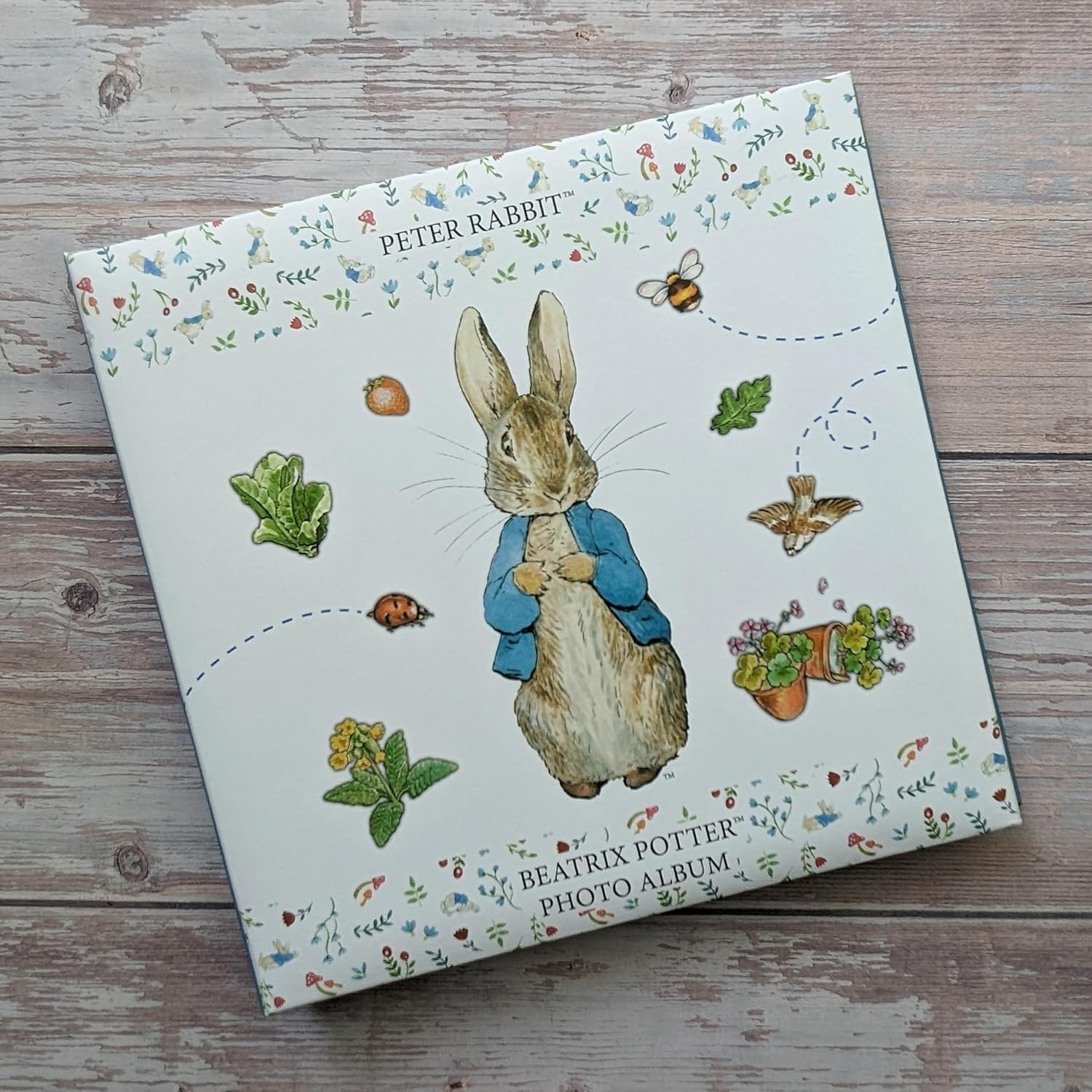 Robert Frederick the World of Beatrix Potter Peter Rabbit Chunky Photo Album 100 6X4 Inch Photos image number 5