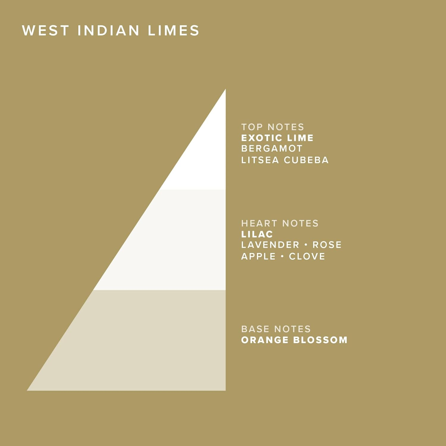 Truefitt and Hill West Indian Limes Triple Soap, 450 G image number 3