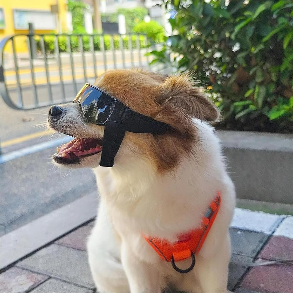 Dog Sunglasses Goggles, Windproof Waterproof Pet Glasses with Adjustable Strap, Cool Outdoor Accessories for Small and Medium Dogs (Black)