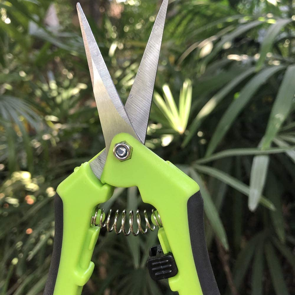 2PCS Hand Pruner Pruning Plant Shears with Straight Stainless Steel Blades for Gardening image number 5