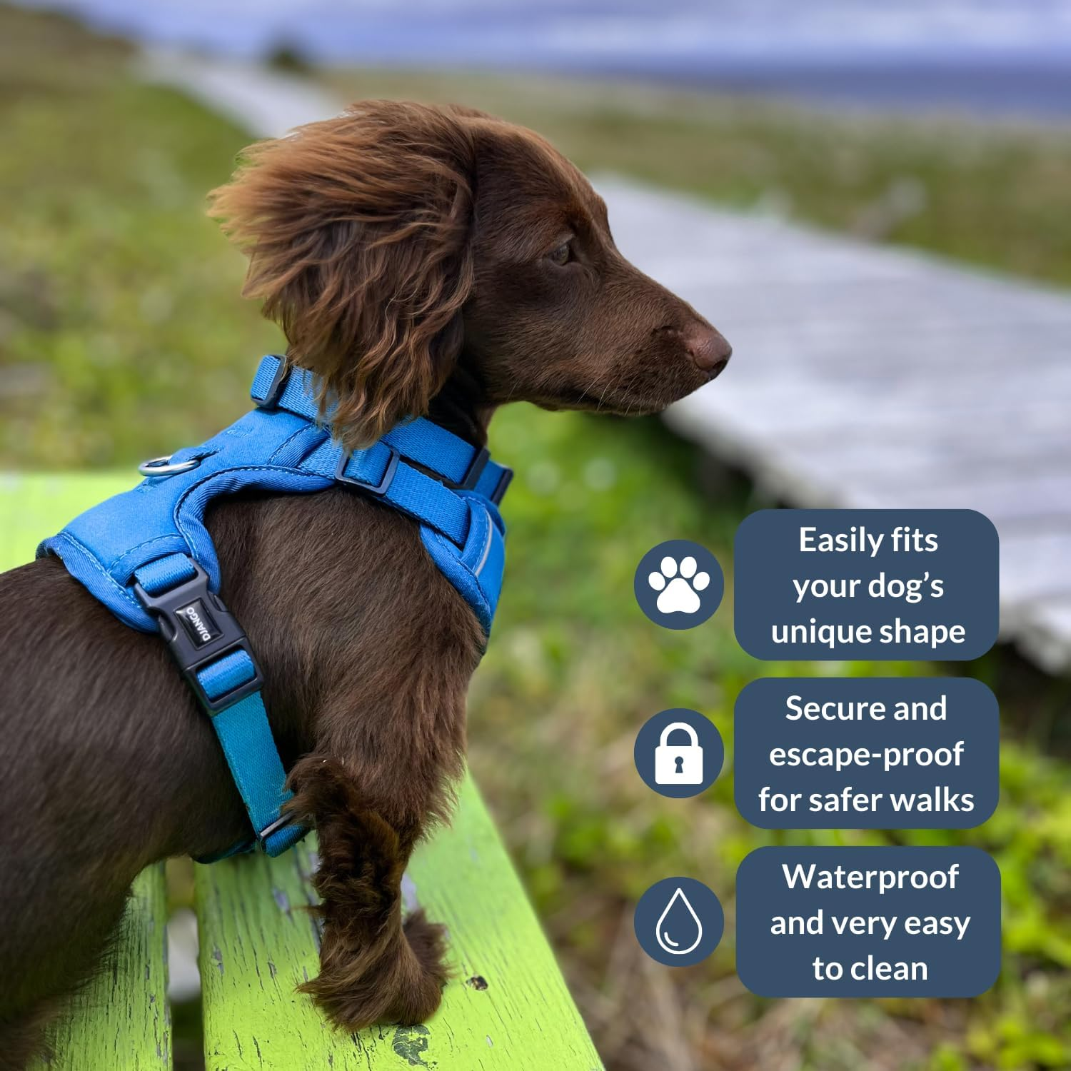 Django Tahoe No Pull Dog Harness &ndash; Comfortable, Durable, & Padded Dog Harness with Front & Back D-Rings &ndash; Adjustable & Secure Harness for Outdoor Adventures & Everyday Use (Alpine Blue, Small) image number 2