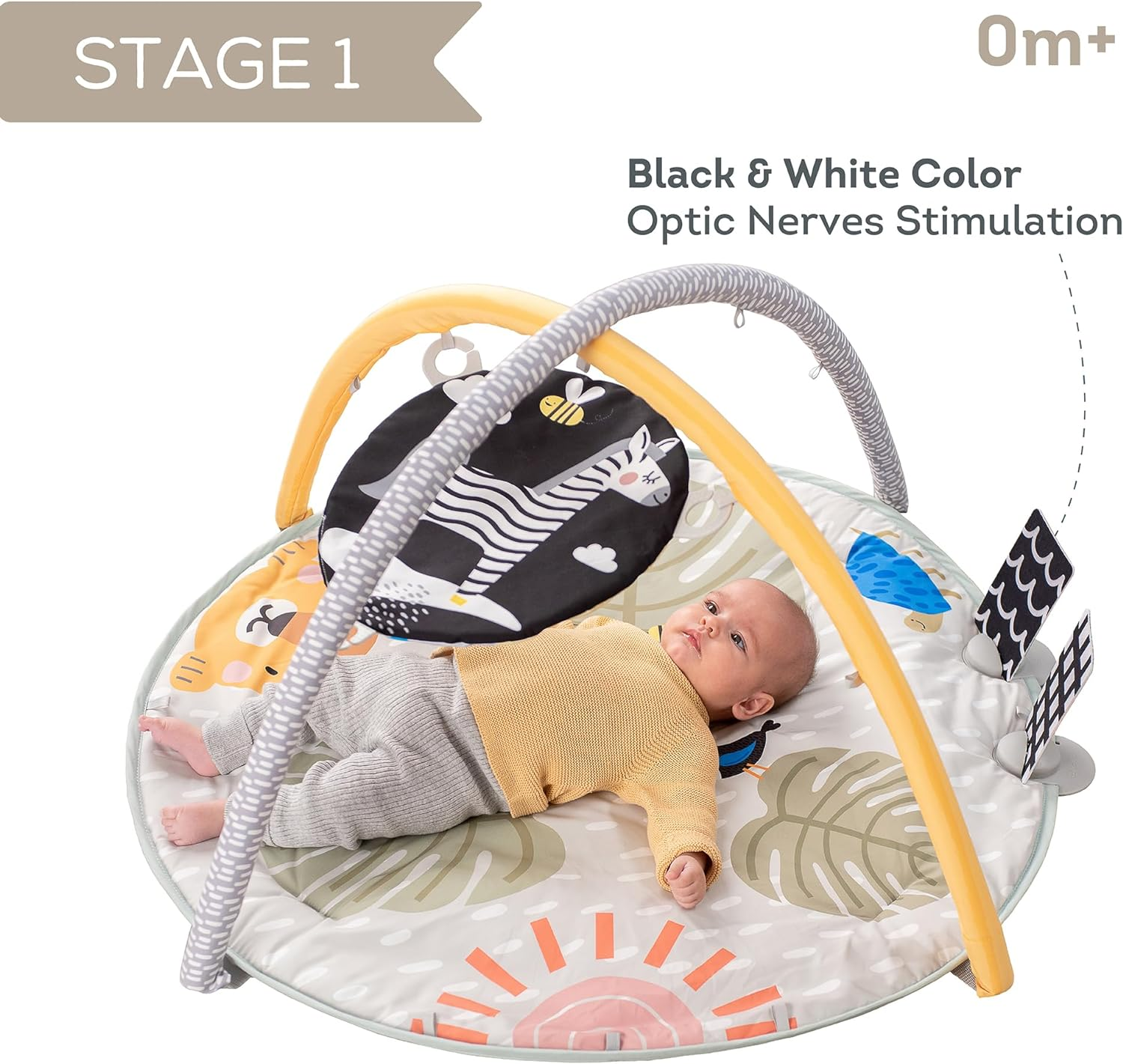 Taf Toys Savannah 360&deg; Activity Gym with Music & Light & 20 Playful Activities, Thickly Padded with Soft Mat and a Unique &ldquo;Crinkle Toy&rdquo; for a Variety of Body Positioning for Newborn and Up image number 1