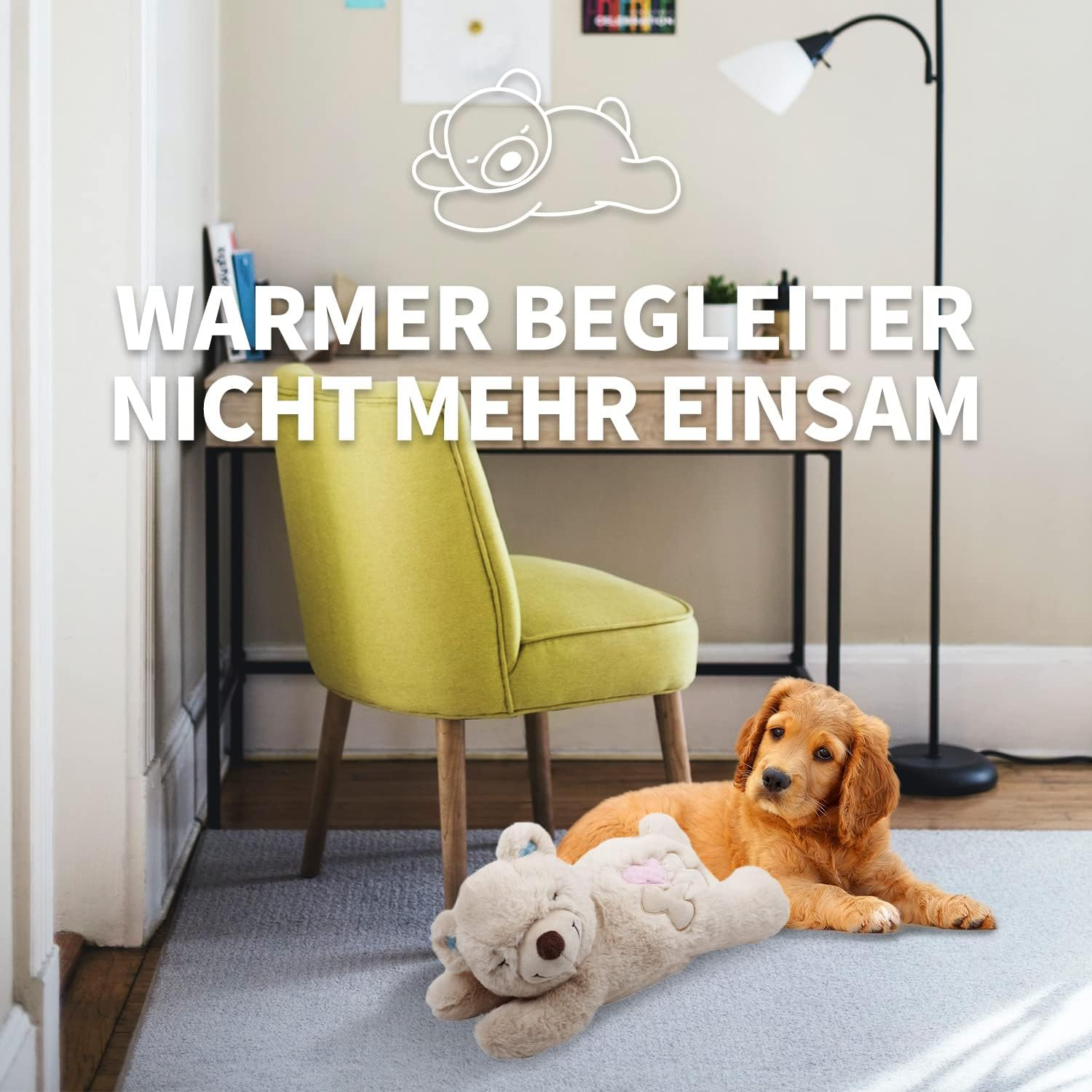 All for Paws AFP Little Buddy - Warm Bear image number 6