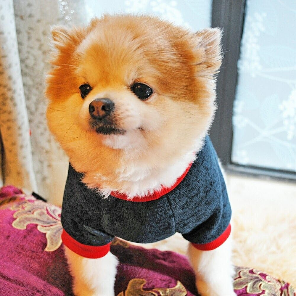 Pet Clothes, Winter Dog Sweater I Love My Mom/Dad Dog Sweatshirt Outfit Warm Dog Costume for Puppy Small Dogs (Daddy, M) image number 3