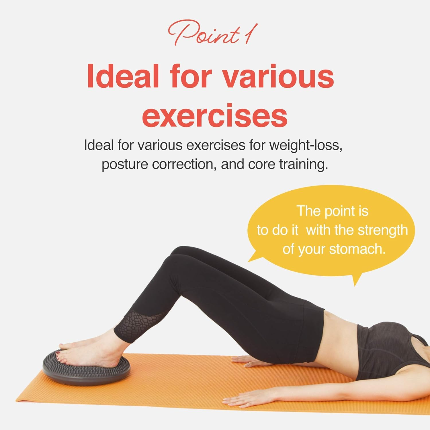 Primasole Balance Disk 2 Pcs Comes with an Air Pump Exercise Disk for Stability Workout13Inch in Diameter 550Lb Load Limit Torso Training Cushion PSS91NH021A